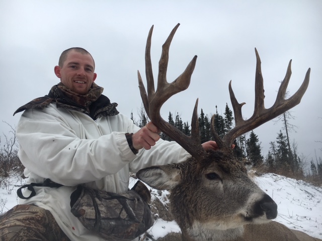 sk whitetail deer trophy - fuzz