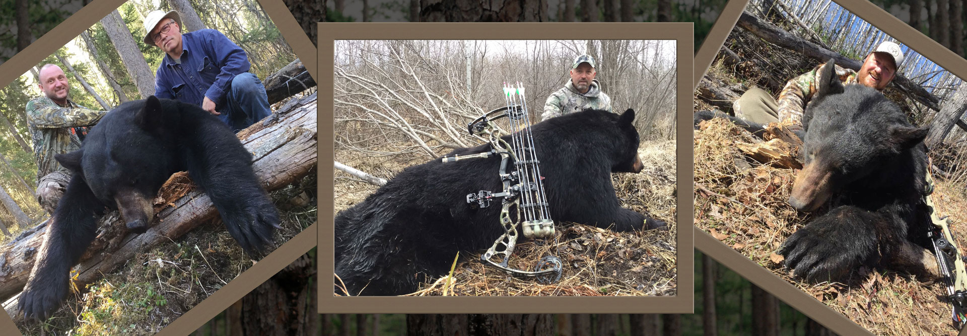 sk-black-bear-hunting