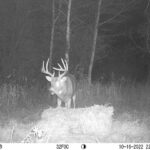 sk-whitetail-trailcams-oco-2022-002