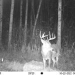 sk-whitetail-trailcams-oco-2022-003