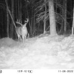 sk-whitetail-trailcams-oco-2022-009