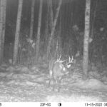 sk-whitetail-trailcams-oco-2022-015