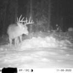sk-whitetail-trailcams-oco-2022-019