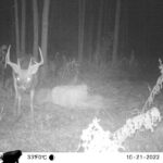 sk-whitetail-trailcams-oco-2022-022