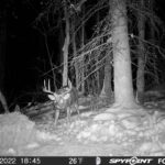 sk-whitetail-trailcams-oco-2022-027
