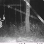 sk-whitetail-trailcams-oco-2022-034