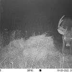 sk-whitetail-trailcams-oco-2022-037