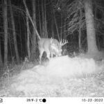 sk-whitetail-trailcams-oco-2022-039